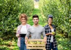 Your Path to the UK with the Seasonal Worker Visa!