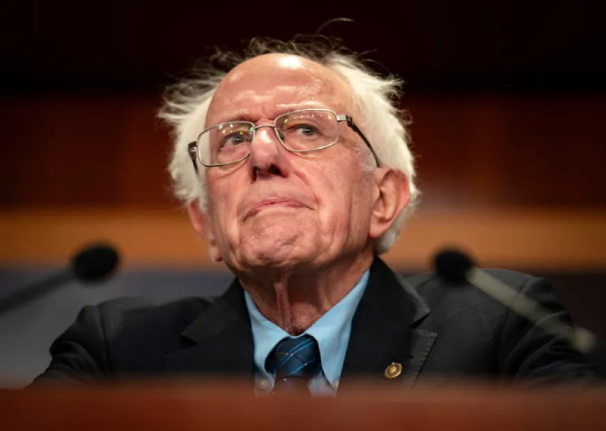 Türkiye'de 40 Milyon Kişinin Yıllık Geliri, Bir Bulldog'un Bakım Masrafına Eşit!