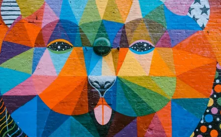 AB Fonlarına cep telefonundan ulaşabilirsiniz. 38 milyarlık  fona ulaşma rehberi.